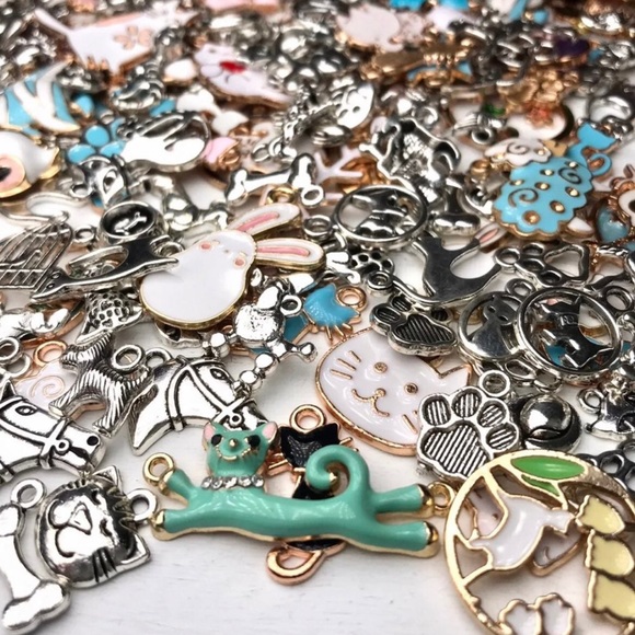 56 PET & Animal CHARMS  Bracelets Keychains Jump Rings DIY Jewelry Making Bundle - Picture 2 of 13